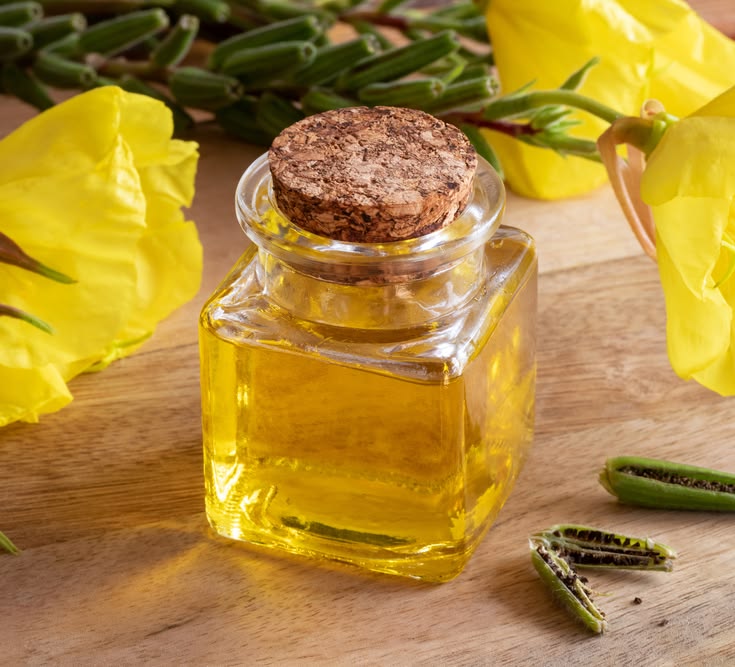 Evening Primrose Oil ingredient